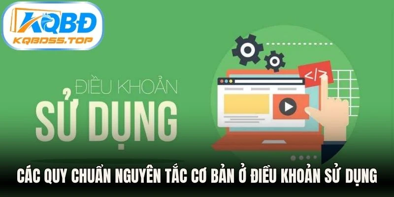 Các quy chuẩn nguyên tắc cơ bản ở điều khoản sử dụng