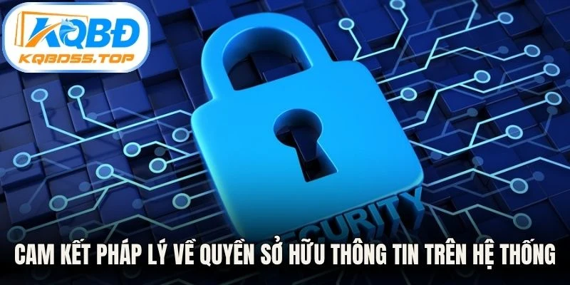 Cam kết pháp lý về quyền sở hữu thông tin trên hệ thống chính sách bảo mật