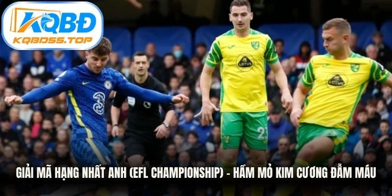 Giải mã Hạng Nhất Anh (EFL Championship) – Hầm mỏ kim cương đẫm máu