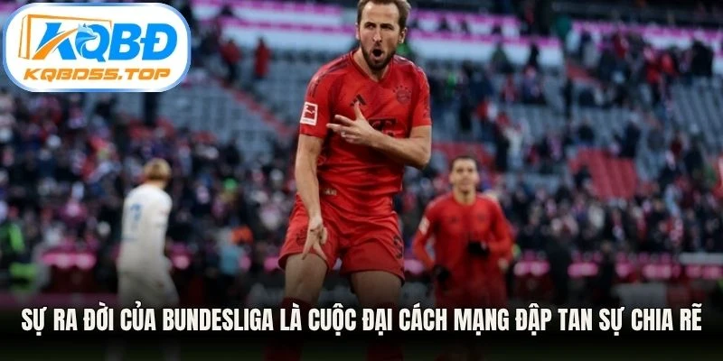 Sự ra đời của Bundesliga là cuộc đại cách mạng đập tan sự chia rẽ cục bộ lâu đời