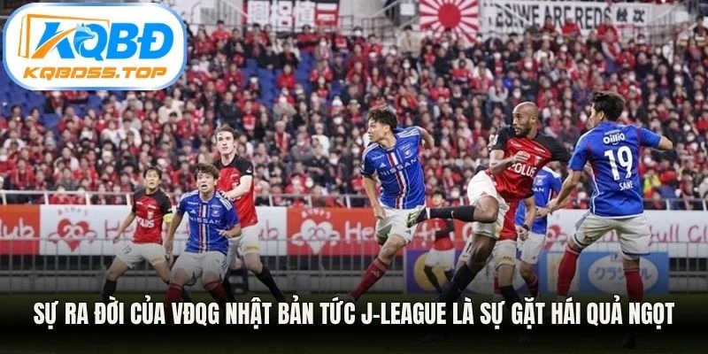 Sự ra đời của VĐQG Nhật Bản tức J-League là sự gặt hái quả ngọt